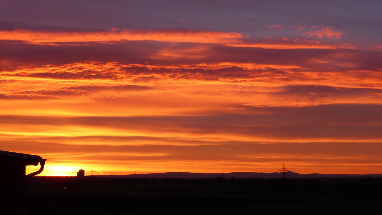 COOP News (ehemals: Wamu /WMIH) 676504