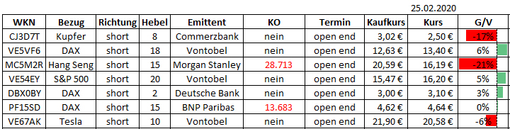 Corona Portfolio Short 1162180