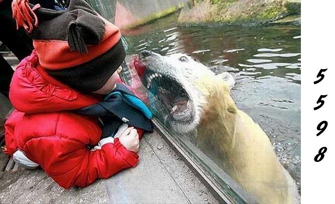 1.300.DAX Tipp-Spiel, Mittwoch, 26.05.10 322422