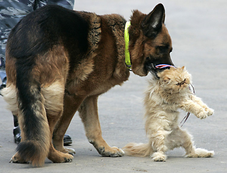 DAX-Tipps für die Urlauber Tippspiel von denkidee 104382