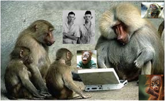 COMMERZBANK kaufen Kz. 28 € 556948