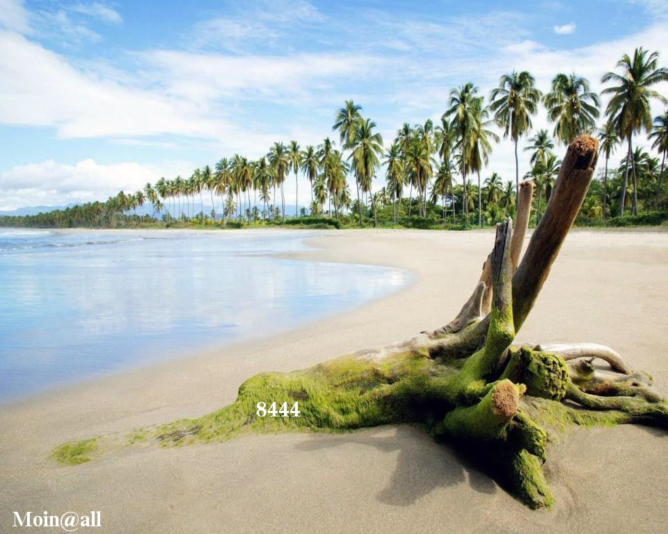 2.133.DAX Tipp-Spiel, Dienstag 638263