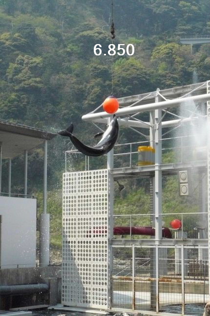 804.DAX Tipp-Spiel, Mittwoch, 11.06.08, 17:45 Uhr 168319