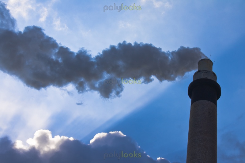 SCHLOTT am 28.01.2011 vor KURSEXPLOSION 376590