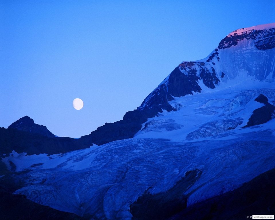 973.DAX Tipp-Spiel Dienstag,10.02.09, 17.45 Uhr 215590