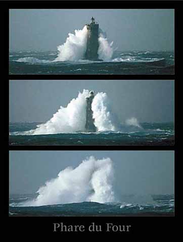 Die Bullen scharren gar nicht mit den Hufen, 189877