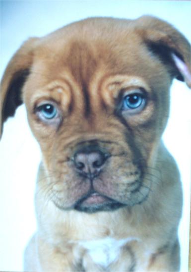 Net AG 2007, Gewinnverdoppelung in Sicht 116161