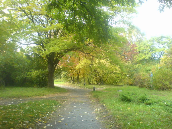 630.DAX Tipp-Spiel, Montag, 01.10.07 123092