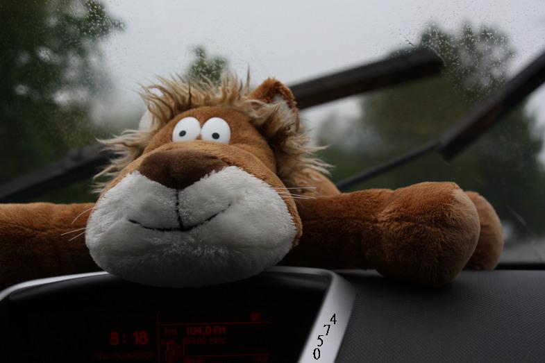 Die Links zu den Sternenkinder (DAX Spiel) 241251