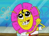 Netcents Technology Thread moderiert A2AFTK 1094838