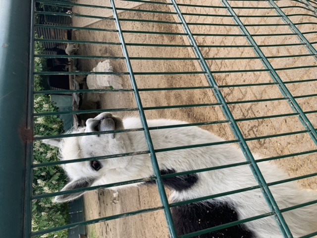 Börse ein Haifischbecken: Trade was du siehst 1254520