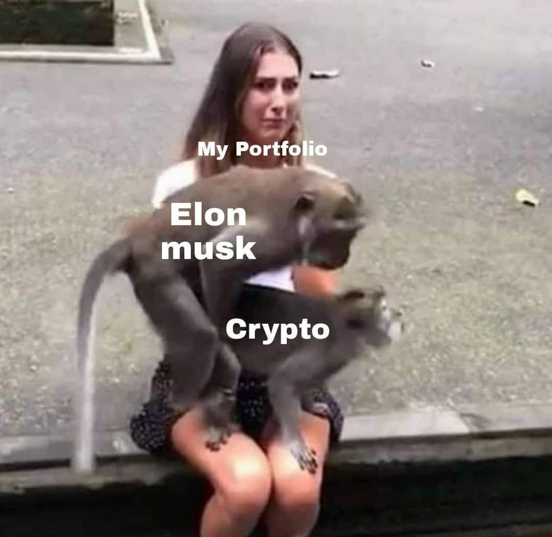 Börse ein Haifischbecken: Trade was du siehst 1254440