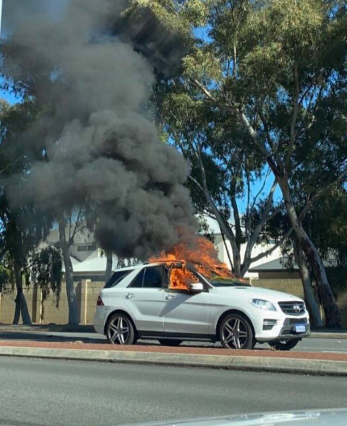 Tesla - Autos, Laster, Speicher und Solardächer 1279516