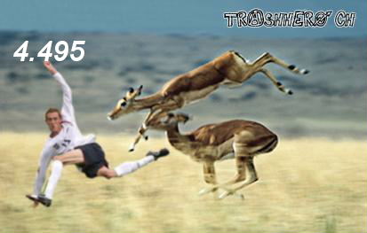 971.DAX Tipp-Spiel Freitag,06.02.09, 17.45 Uhr 214906