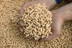 Commerzbank AG TuBull O.End BrentCr. 35,26 210604