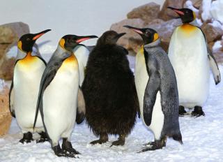 648.DAX Tipp-Spiel, Donnerstag, 25.10.07 127781