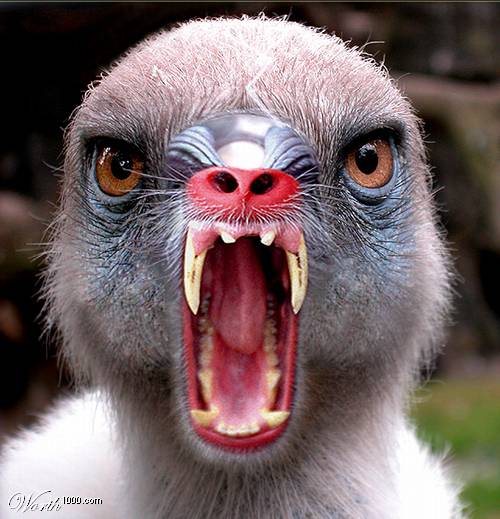 Leute schnell noch positionieren! 152990