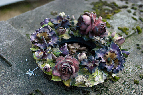 Der USA Bären-Thread 343092