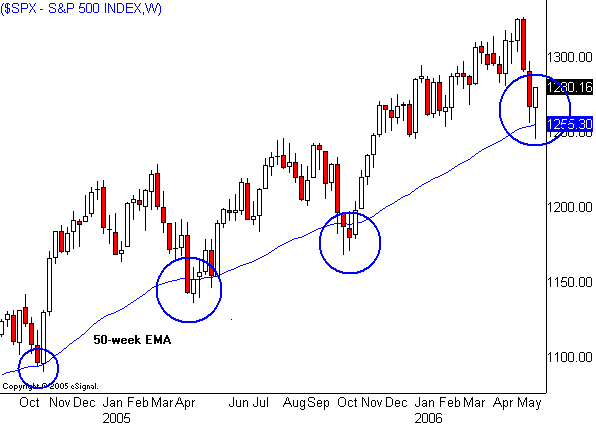 Der Doomsday Bären-Thread 42160