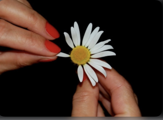 Börse ein Haifischbecken: Trade was du siehst 1334605