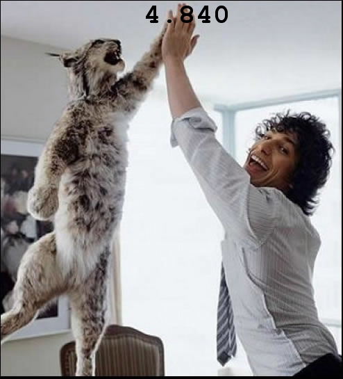 937.DAX Tipp-Spiel *Montag* 15.12.08, 17.45 Uhr 205505