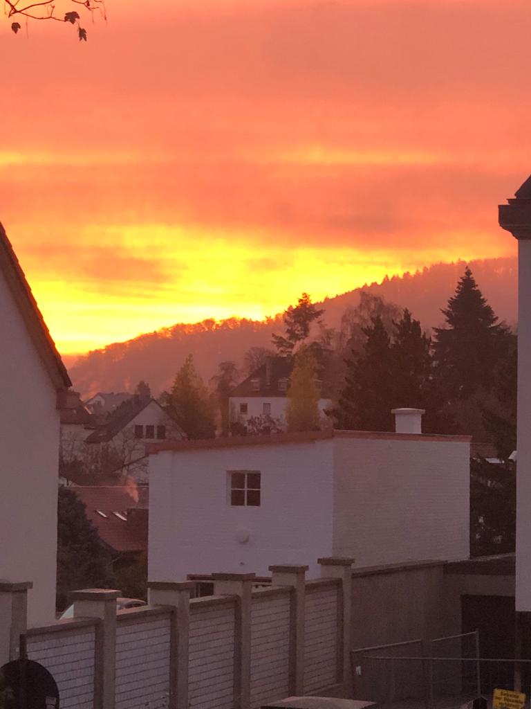 Krofitime Trading 1215225