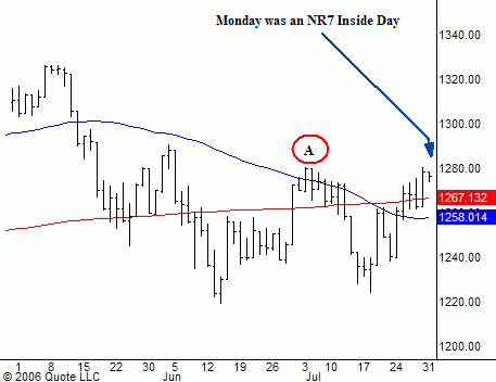 Der Doomsday Bären-Thread 49233