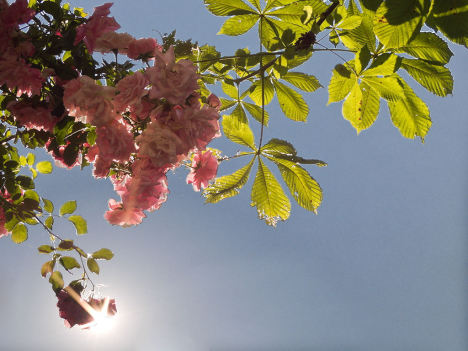 881.DAX Tipp-Spiel *Freitag* 26.09.08, 17.45 Uhr 188830