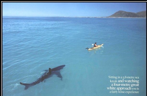 Conergy, wie Phönix aus der Asche ? 286983