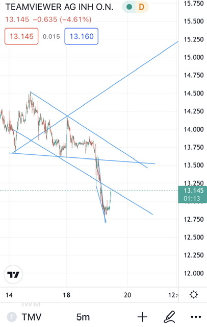 TeamViewer AG - Hype oder echte Kursrakete? 1279706