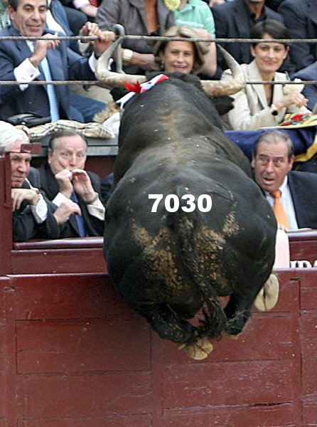 1.441.DAX Tipp-Spiel, Donnerstag, 09.12.10 364551