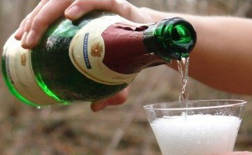 Amadeus Fire ohne Peddy78 235006