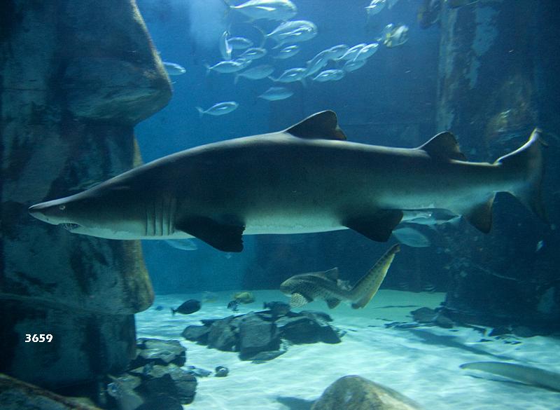 986.DAX Tipp-Spiel Freitag,27.02.09.17.45 Uhr 218873