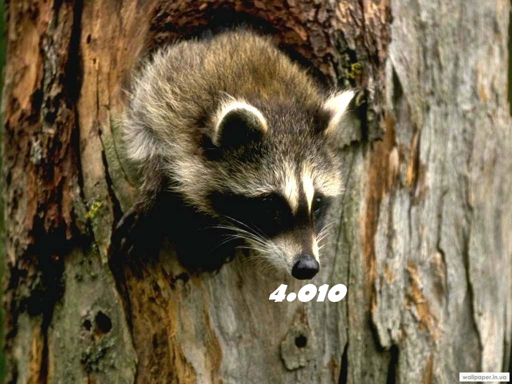 996.DAX Tipp-Spiel Freitag,13.03.09.17.45 Uhr 221763