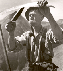 Conergy, wie Phönix aus der Asche ? 551773