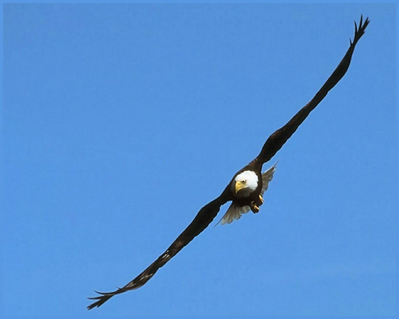 976.DAX Tipp-Spiel Freitag,13.02.09.17.45 Uhr 216196