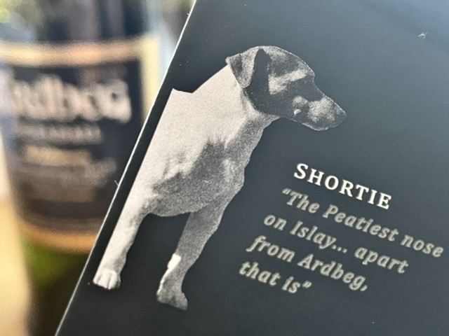 NEL, der Wasserstoffplayer aus Norwegen 1252705