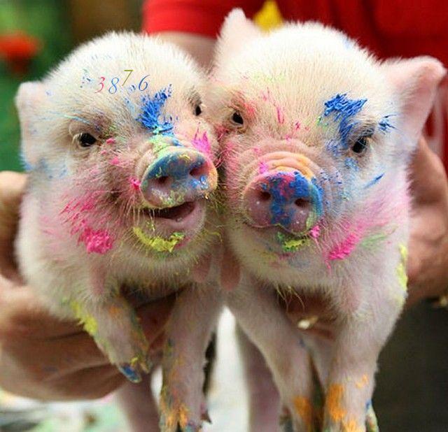 1001.DAX Tipp-Spiel Freitag,20.03.09.17.45 Uhr 223101