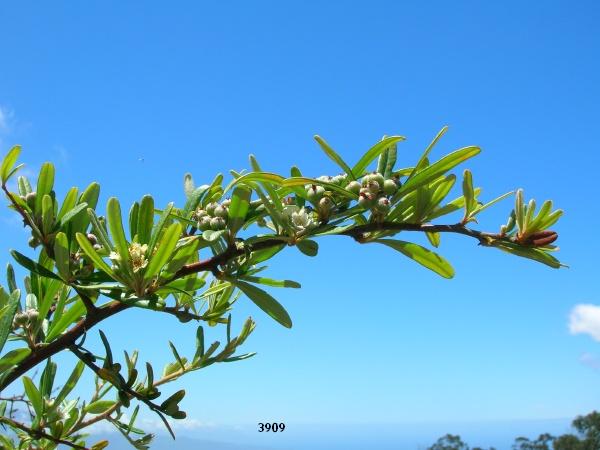 1002.DAX Tipp-Spiel Montag,23.03.09.17.45 Uhr 223537