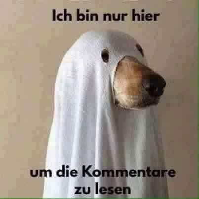 Krofitime Trading 1093970