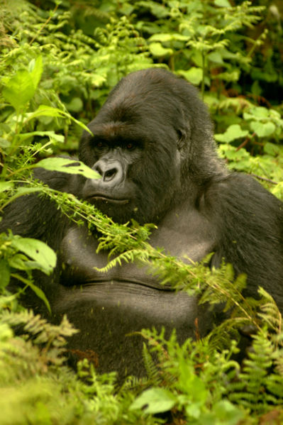 iQ Power - Die Ruhe vor dem Sturm? 189533