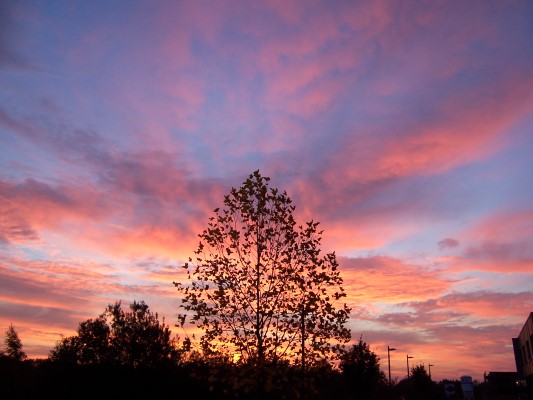 599.DAX Tipp-Spiel, Freitag, 17.08.07 115023