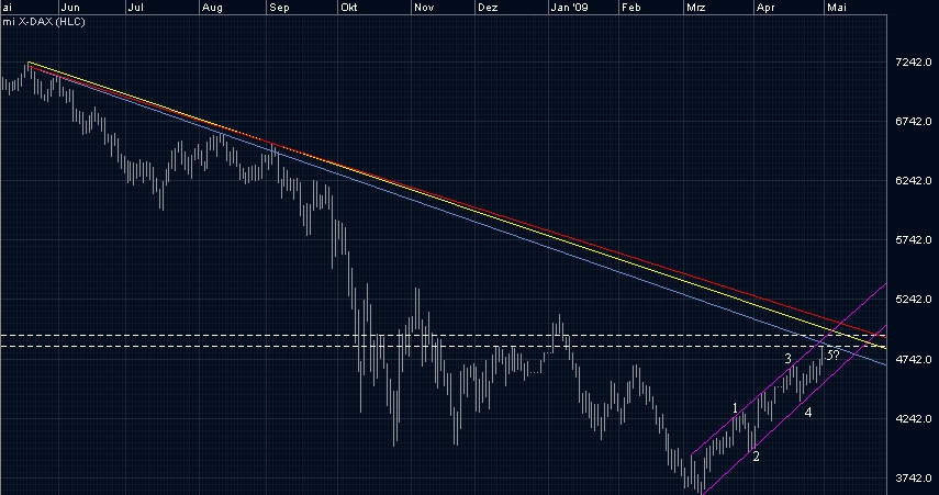Die Bullen scharren gar nicht mit den Hufen, 230572