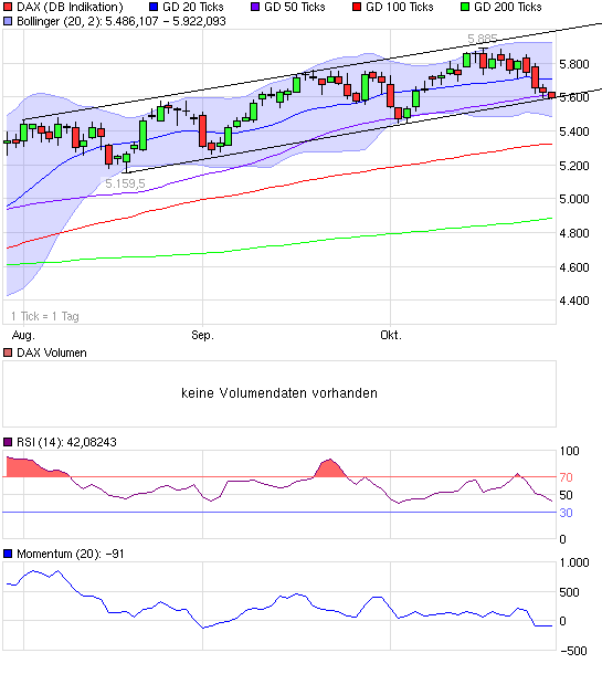 Dax Turbo Bear 270510