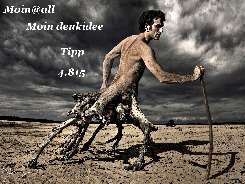 935.DAX Tipp-Spiel *Do* 11.12.08, 17.45 Uhr 204861