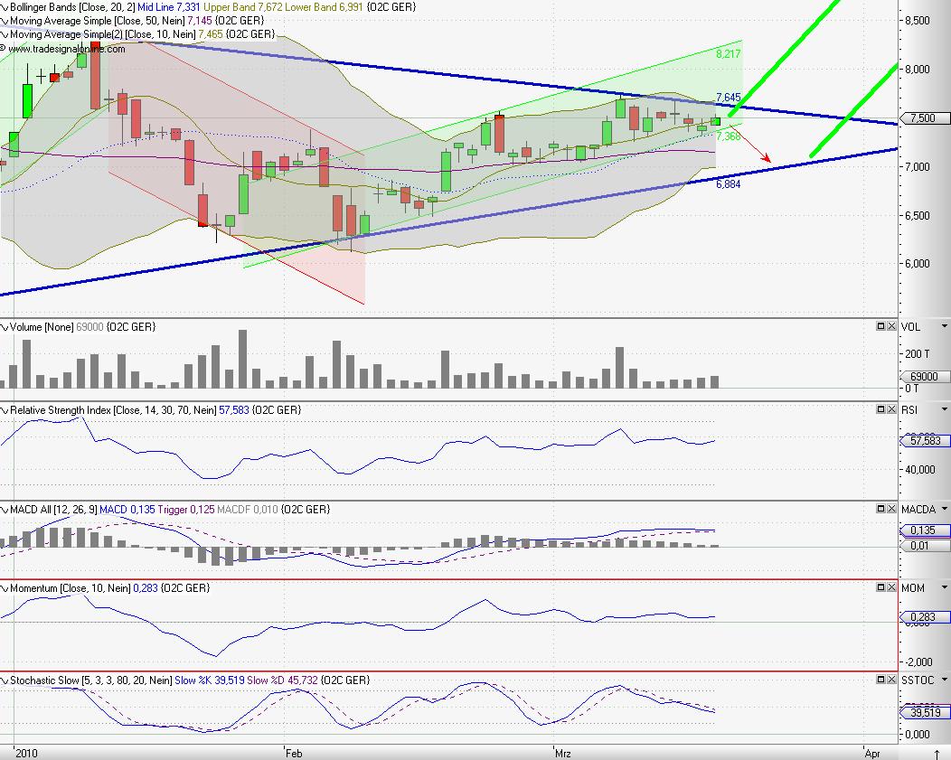 C.A.T. Oil - Die Katze überschlägt sich fast 307288