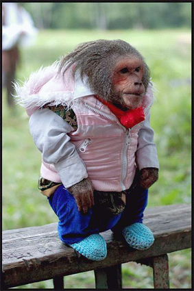 641.DAX Tipp-Spiel, Dienstag, 16.10.07 125733