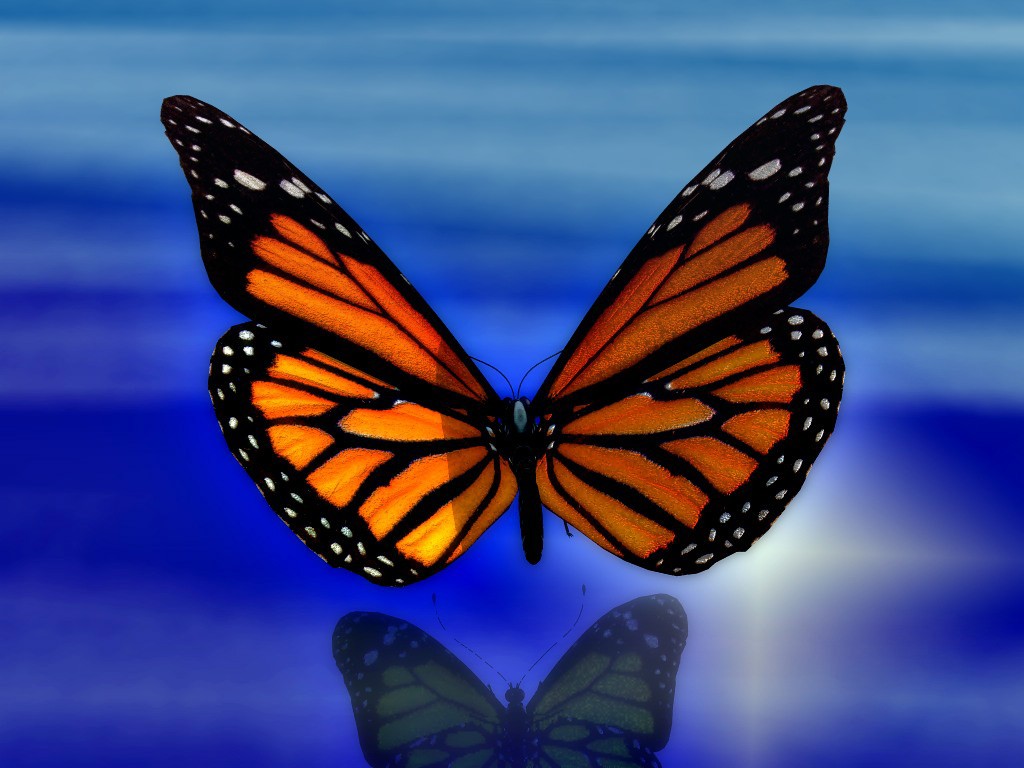 905.DAX Tipp-Spiel *Do* 30.10.08, 17.45 Uhr 196106