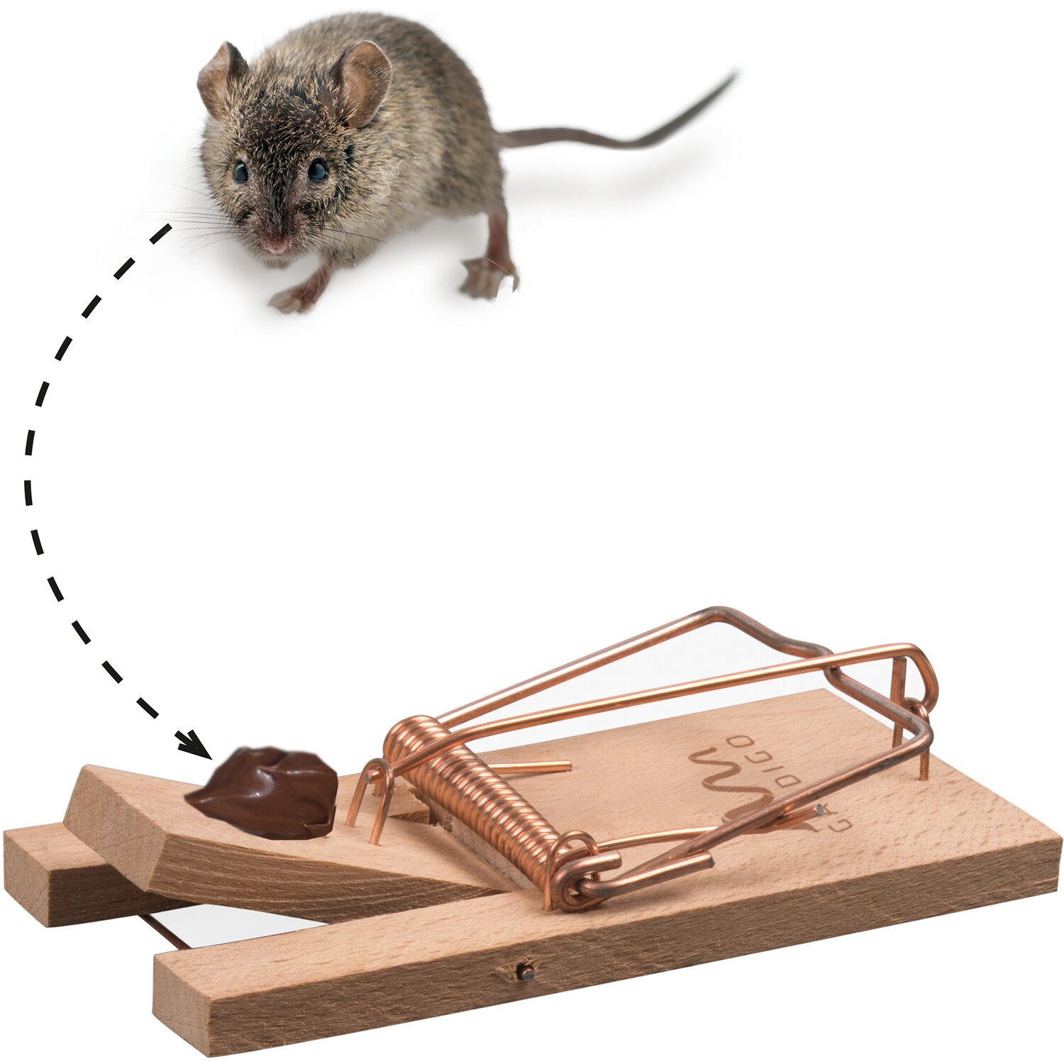 Aston Martin. Very british. Invest in eine Legende 1214518