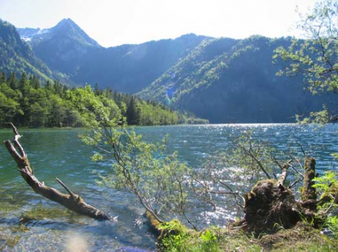 902.DAX Tipp-Spiel *Montag* 27.10.08, 17.45 Uhr 195221